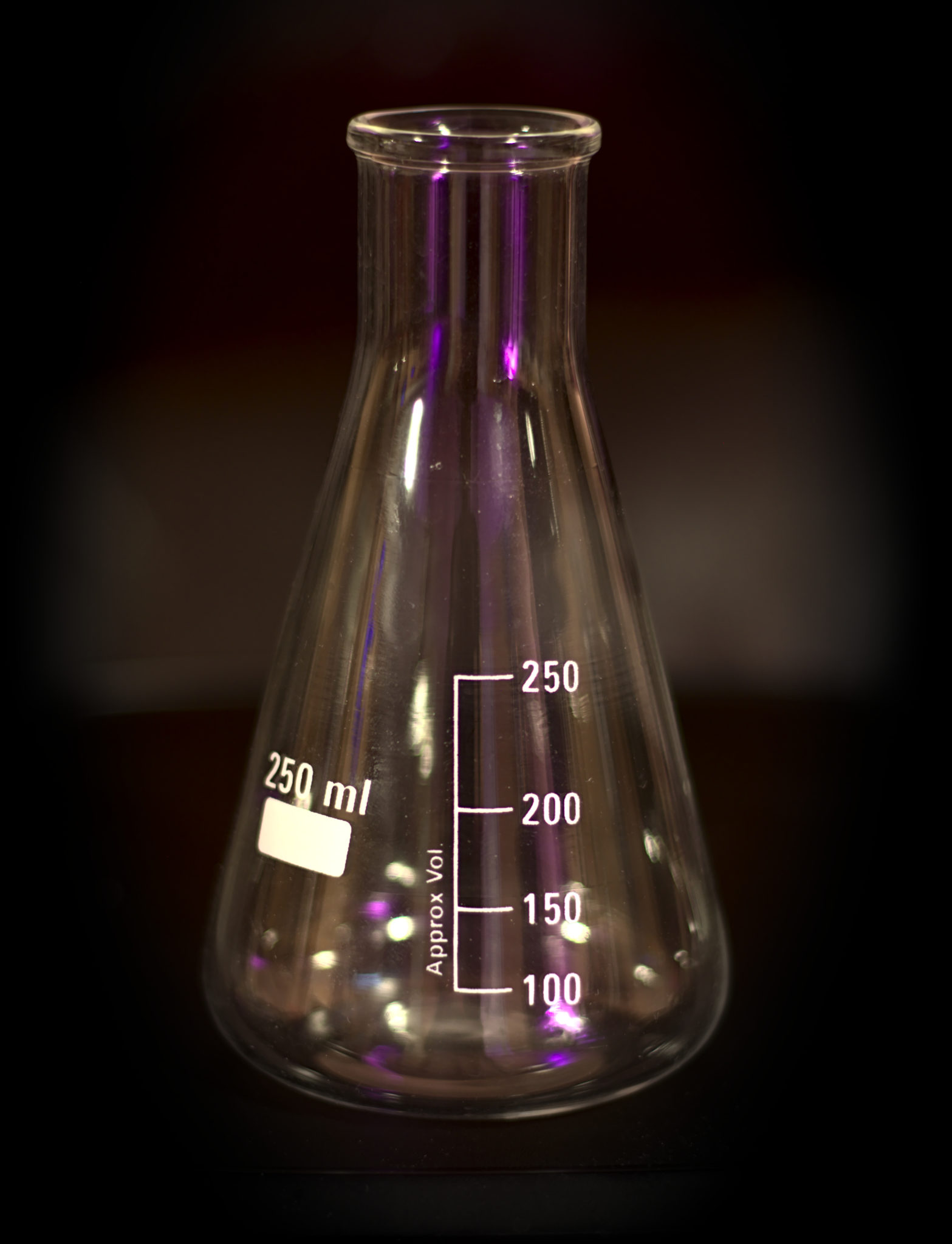 Flask Erlenmeyer WideMouth 250 mL Plant Tissue Culture Canada